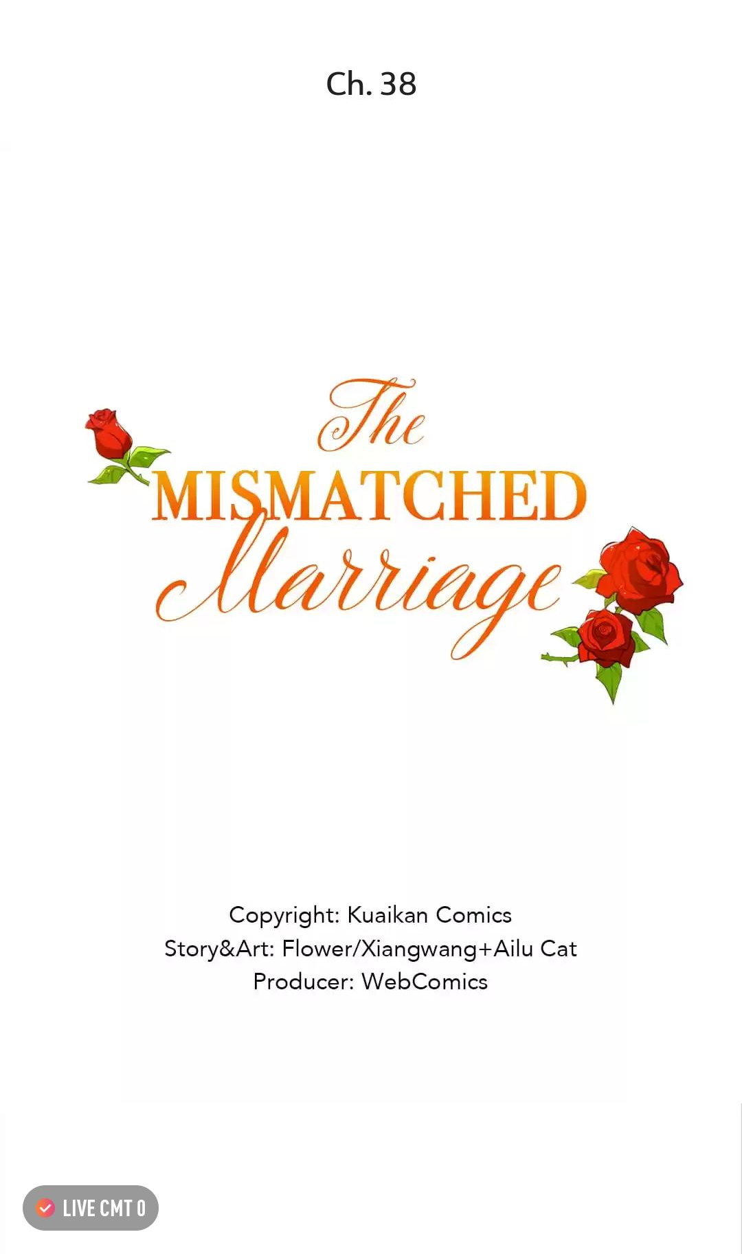 The Mismatched Marriage Chapter 38 - Picture 1