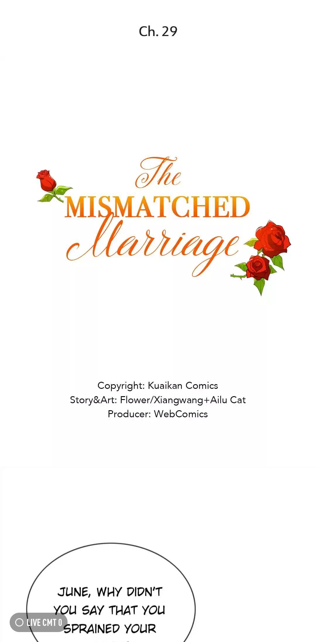 The Mismatched Marriage Chapter 29 - Picture 1