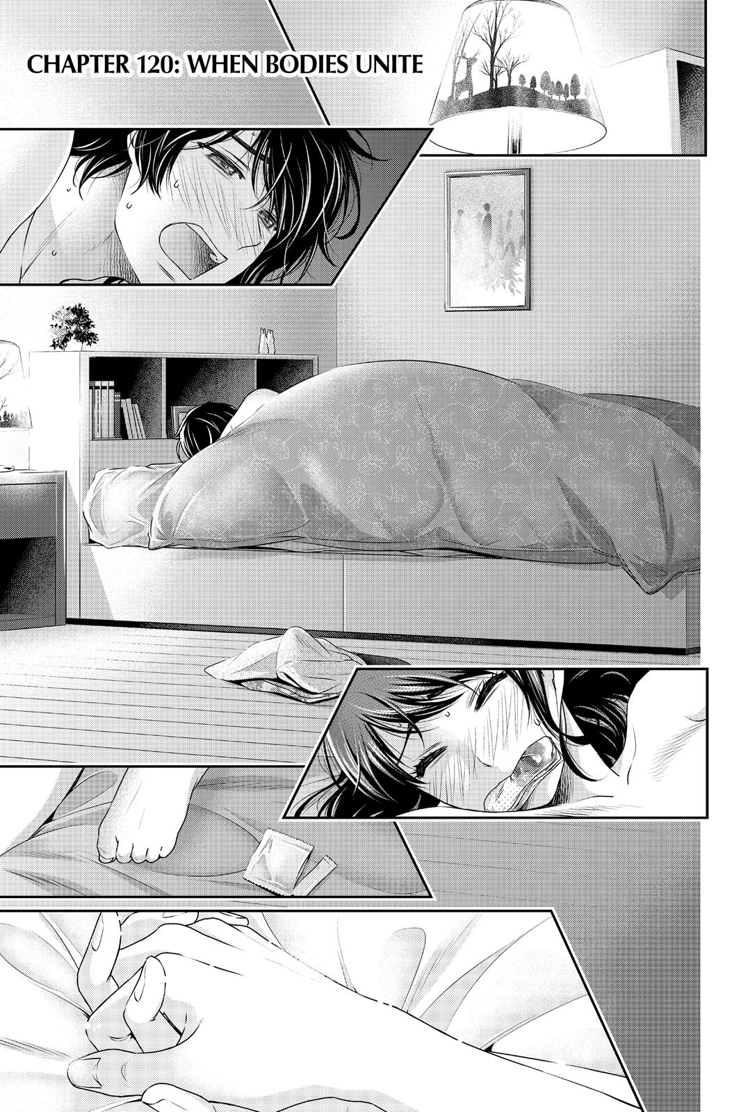 Domestic Na Kanojo Vol.17 Chapter 120 - Picture 1
