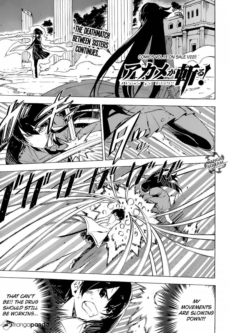 Akame Ga Kill! Chapter 66 : Kill Fate - Picture 1