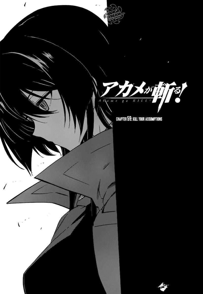 Akame Ga Kill! Chapter 59 : Kill Your Assumption - Picture 1