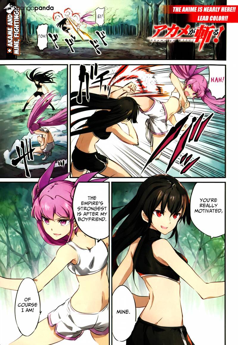 Akame Ga Kill! Chapter 50 : Kill The Disaster - Picture 3