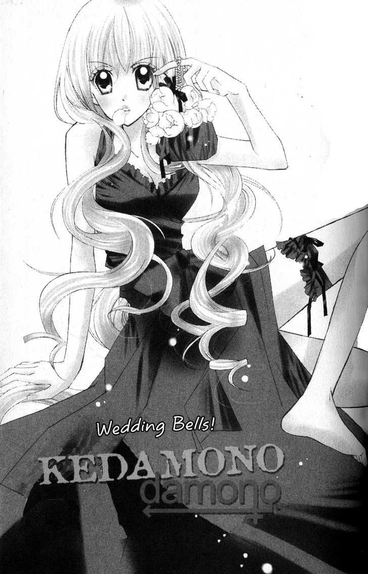 Kedamono Damono Vol.03 Chapter 2 : Wedding Bells! - Picture 1