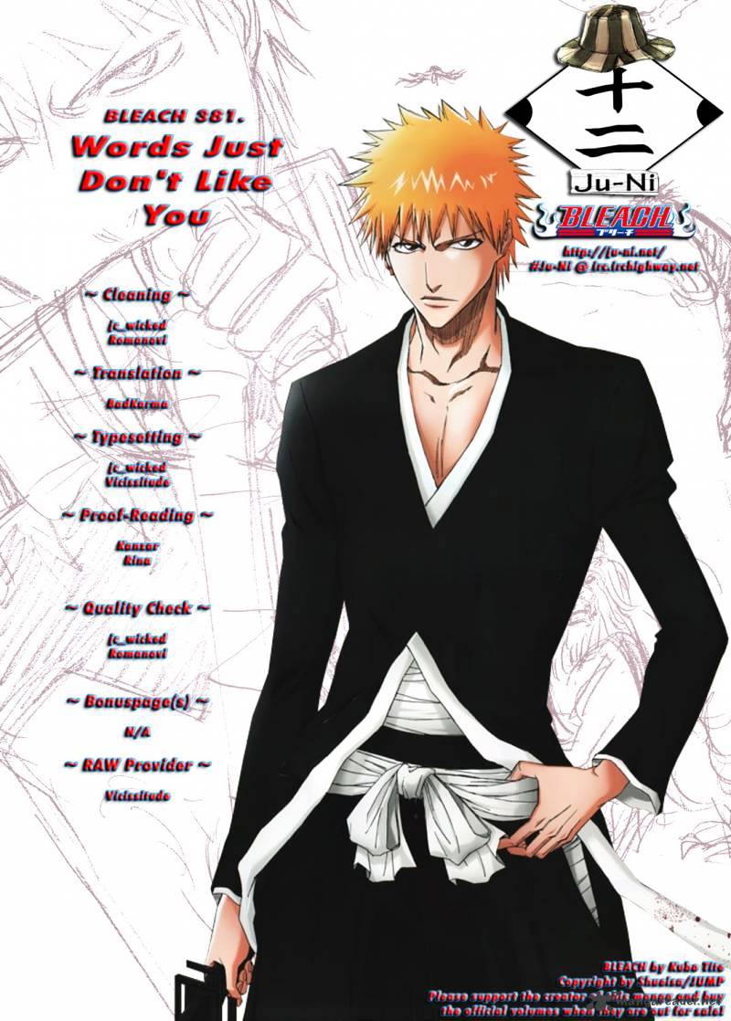Bleach Chapter 381 : Words Just Don't Like You - Picture 1