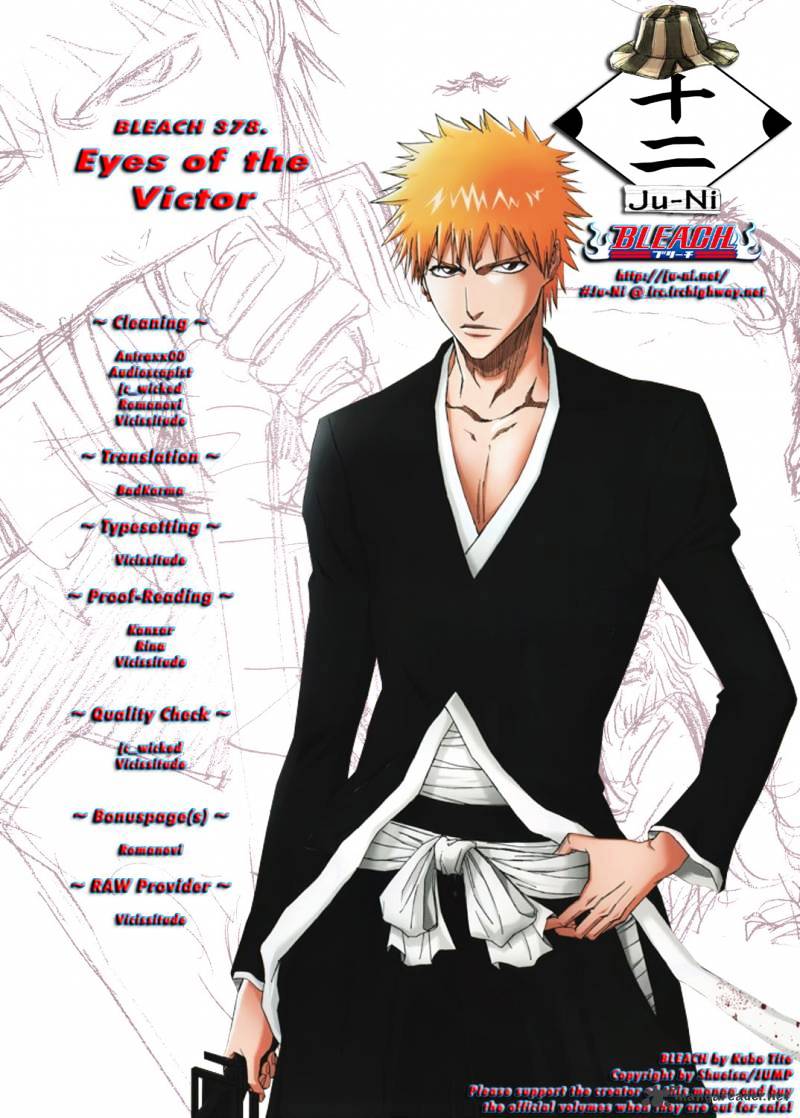 Bleach Chapter 378 : Eyes Of The Victor - Picture 1