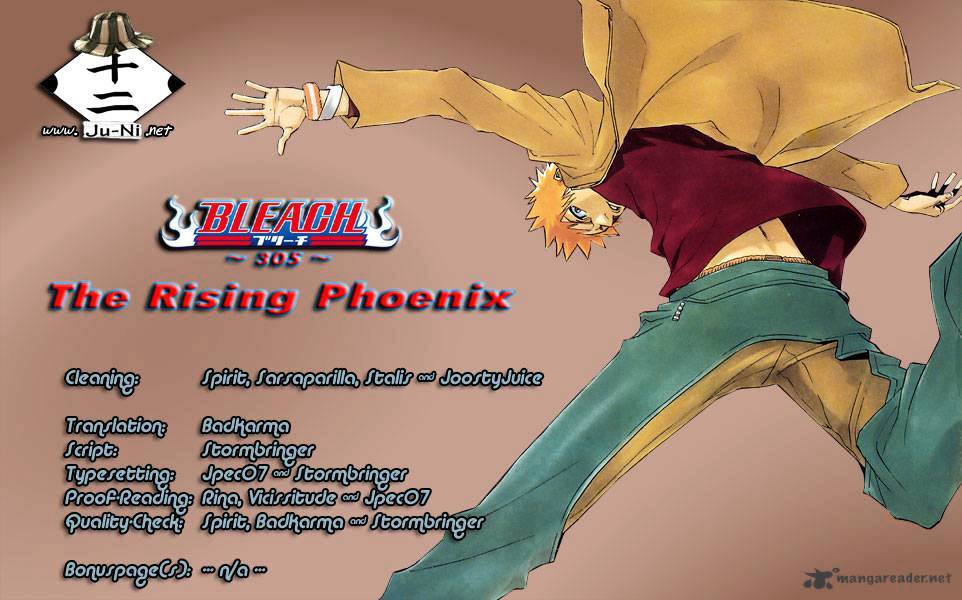 Bleach Chapter 305 : The Rising Phoenix - Picture 1
