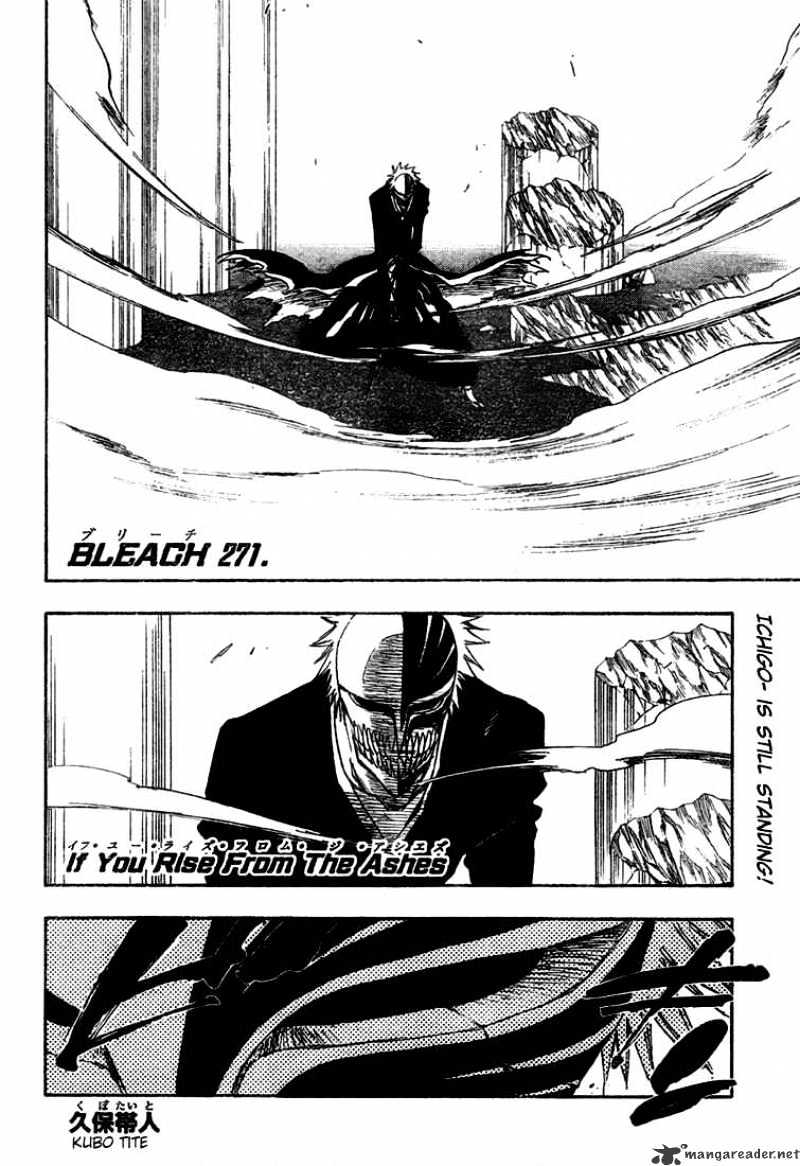 Bleach Chapter 271 : If You Rise From The Ashes - Picture 3