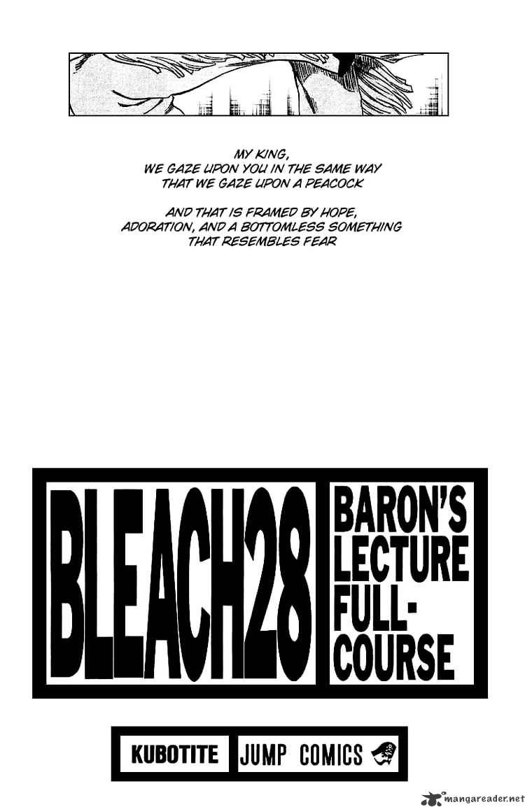 Bleach Chapter 243 : The Knuckle And The Arrow - Picture 3