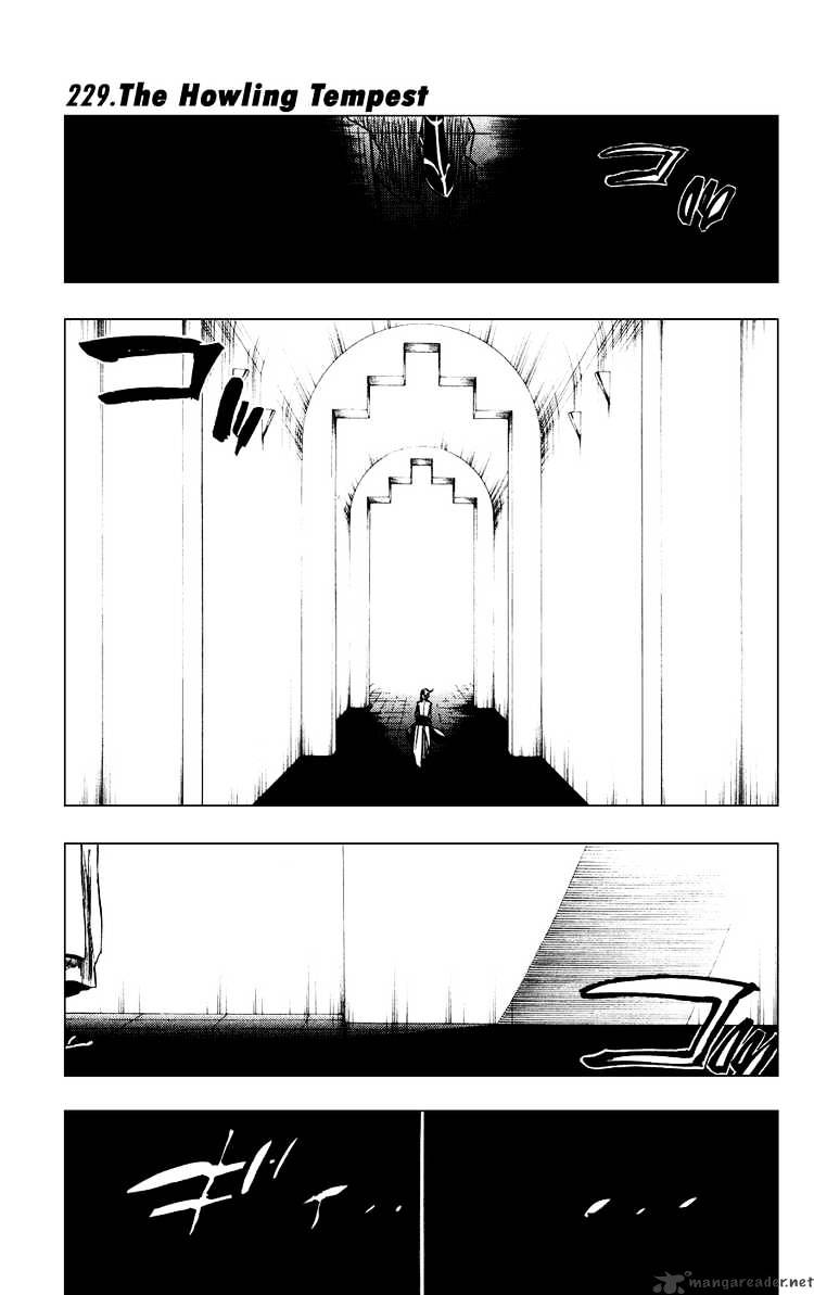 Bleach Chapter 229 : Howling Tempest - Picture 1