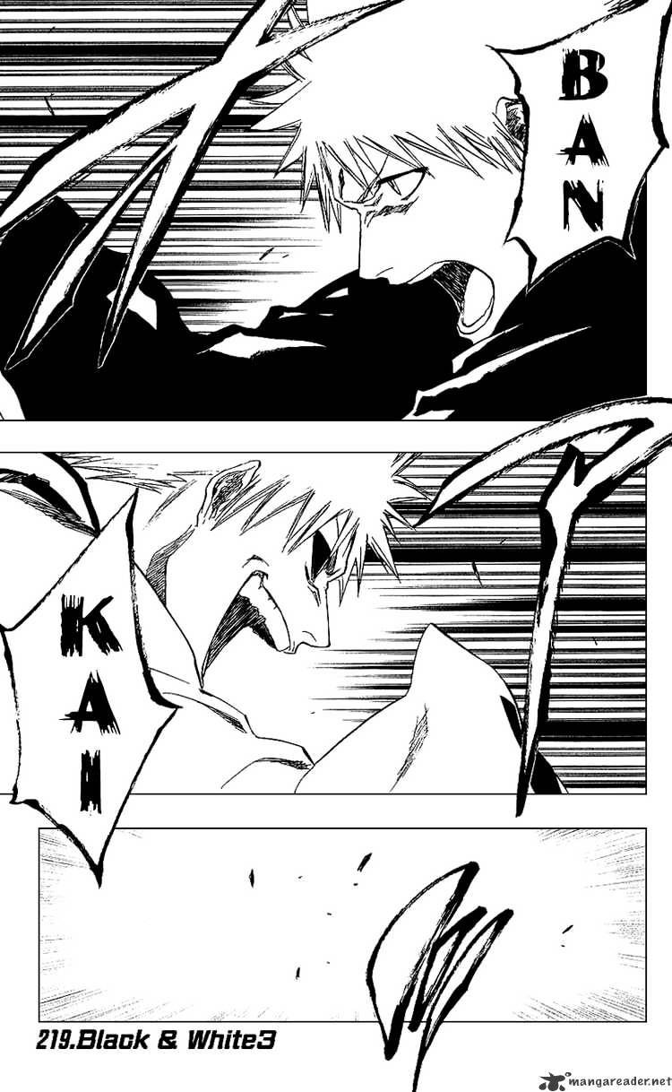Bleach Chapter 219 : Black And White 3 - Picture 1