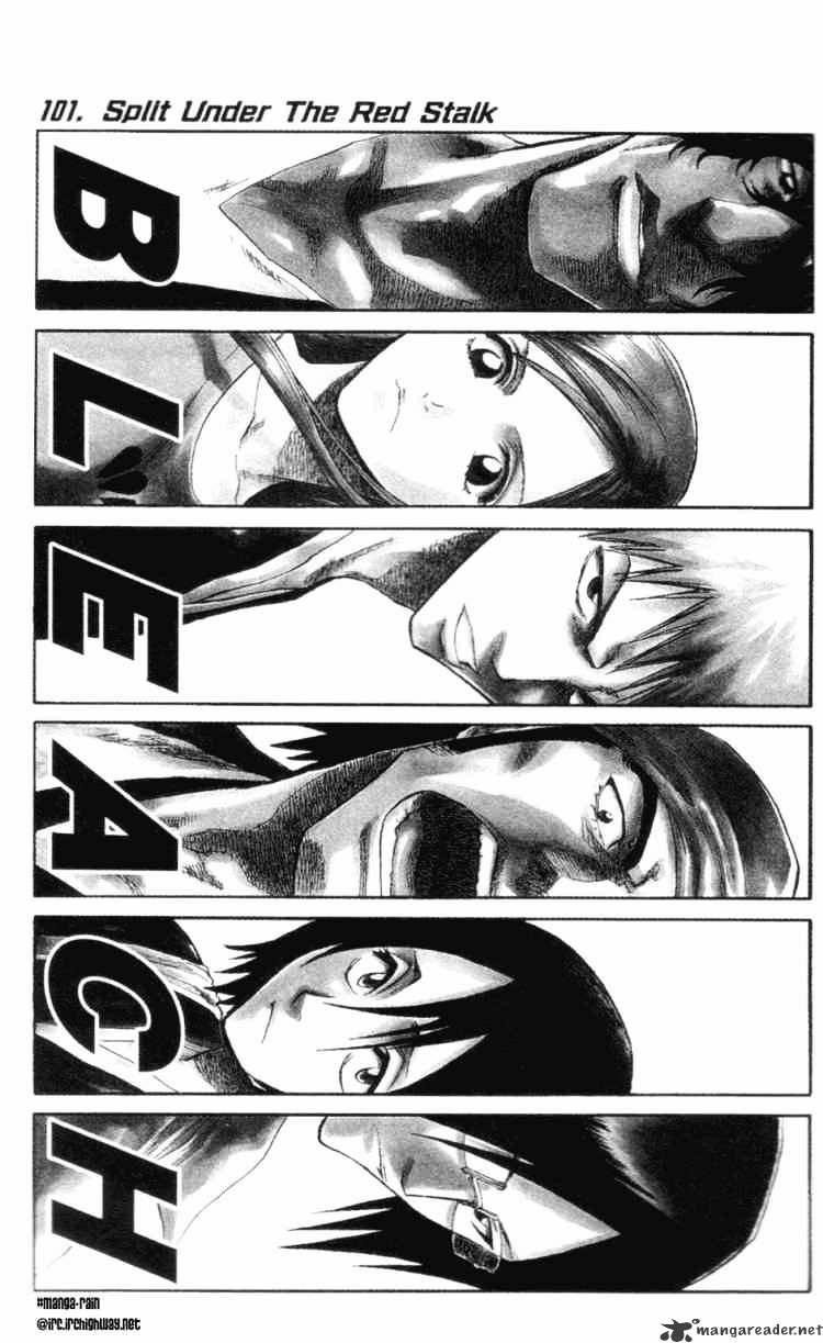 Bleach Chapter 101 : Split Under The Red Stalk - Picture 1