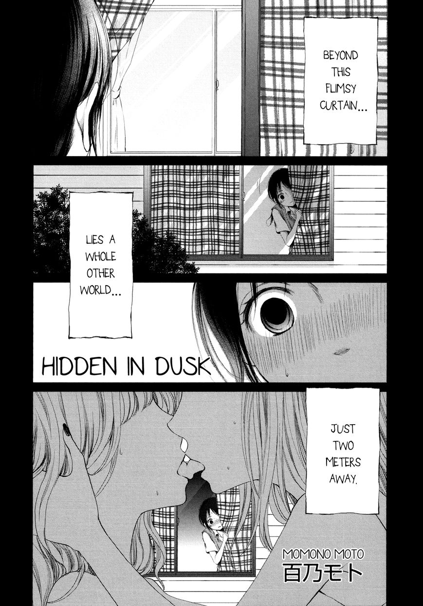 Hidden In Dusk - Page 2