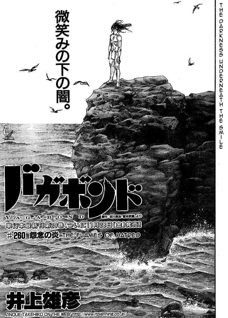 Vagabond Vol.29 Chapter 260 : The Flames Of Hatred - Picture 1