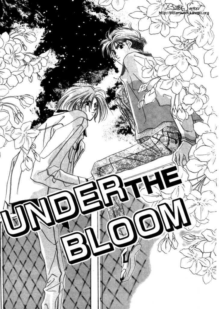 Boy's Cried Vol.1 Chapter 2 : 2: Under The Bloom 3: Behavioral Report - Picture 2
