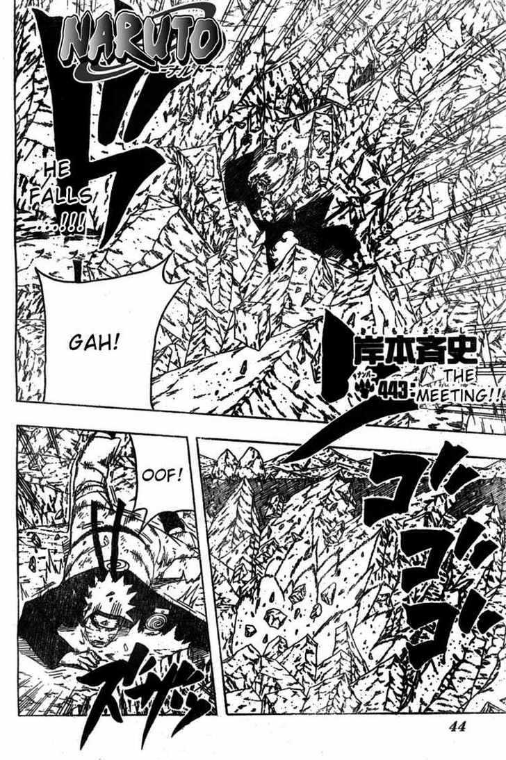Naruto Vol.48 Chapter 443 : The Meeting - Picture 2
