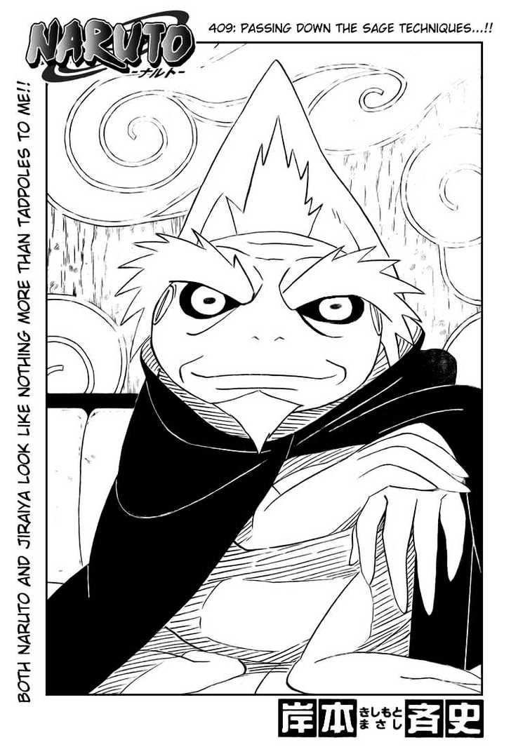 Naruto Vol.44 Chapter 409 : Passing Down The Sage Techniques - Picture 1