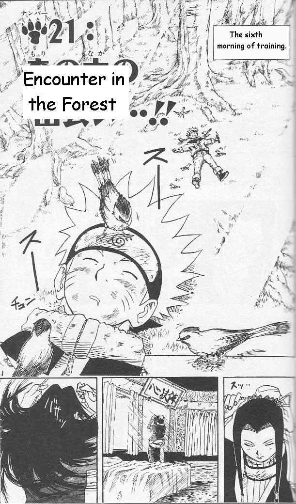 Naruto Vol.3 Chapter 21 : Encounter In The Forest - Picture 2