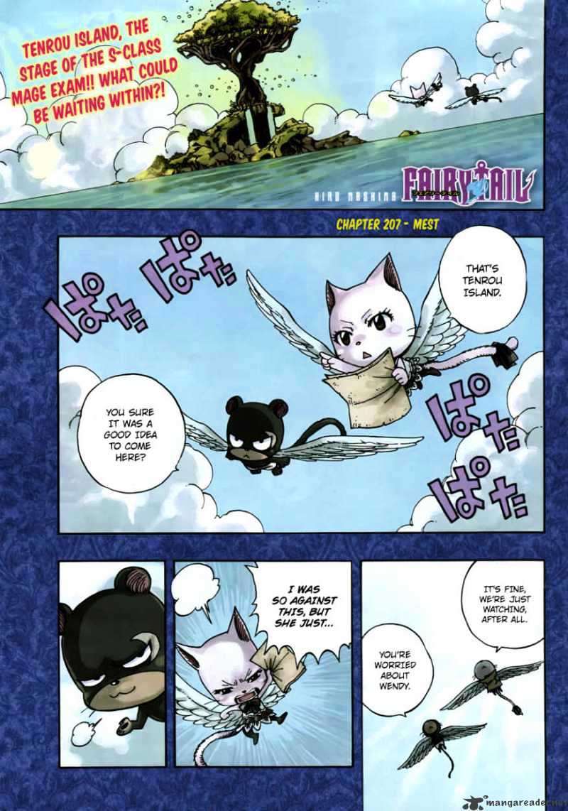 Fairy Tail Chapter 207 : Mest - Picture 1