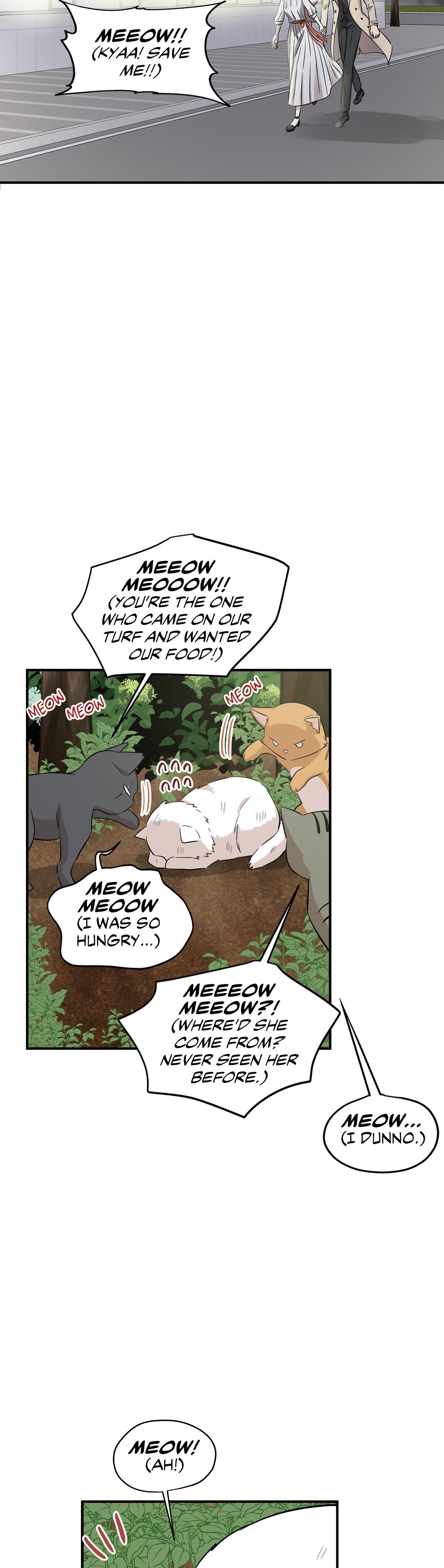 Just For A Meowment Chapter 44 - Picture 3